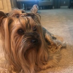 Meet your Posher, Marilee